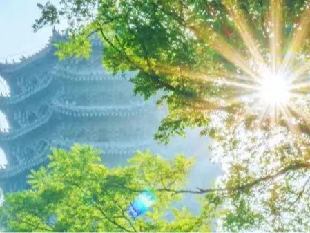 首页-NG视讯厅真人官方网站