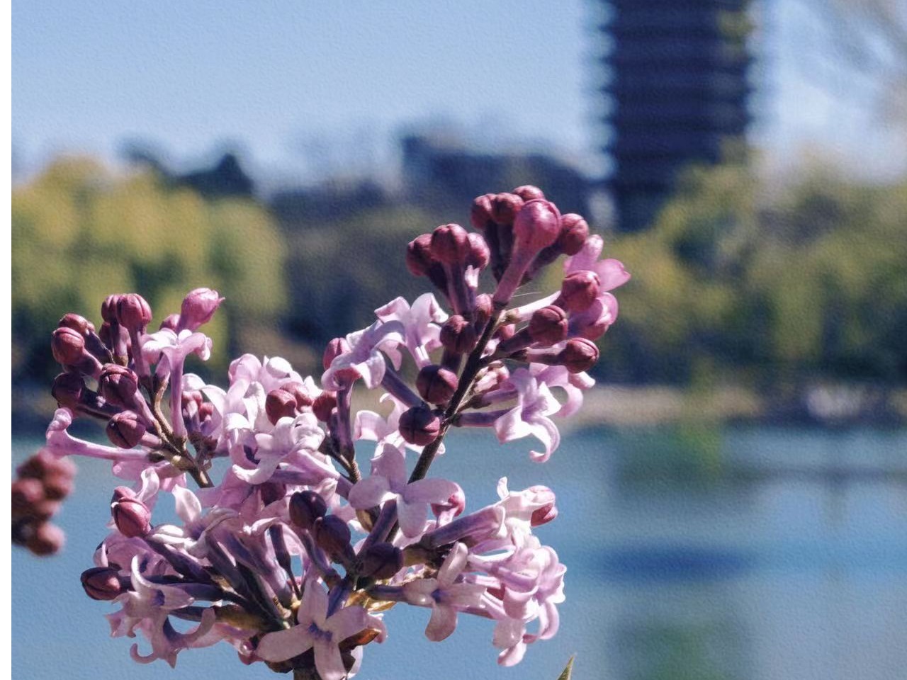 首页-NG视讯厅真人官方网站