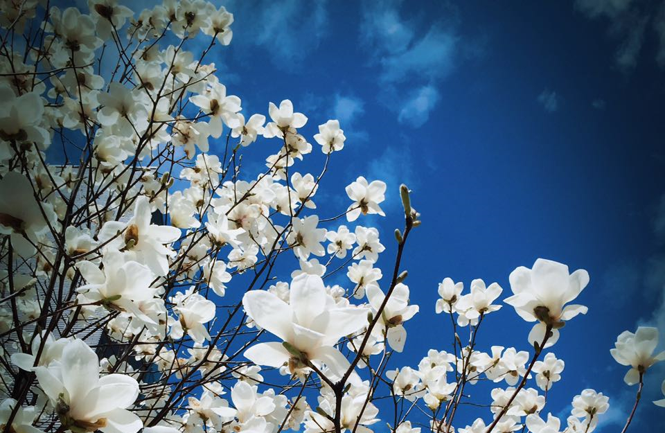 首页-NG视讯厅真人官方网站