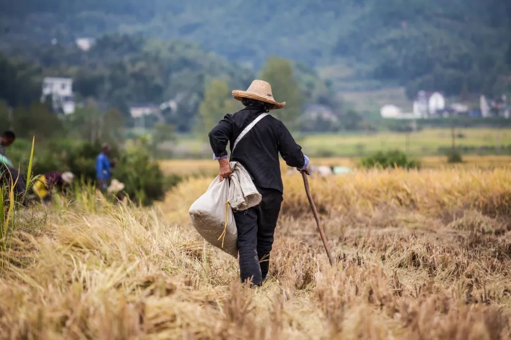 雷 明：人类汗青上最伟大的故事之一，我们该若何讲述？