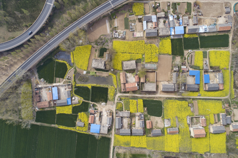 首页-NG视讯厅真人官方网站