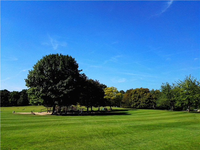 首页-NG视讯厅真人官方网站