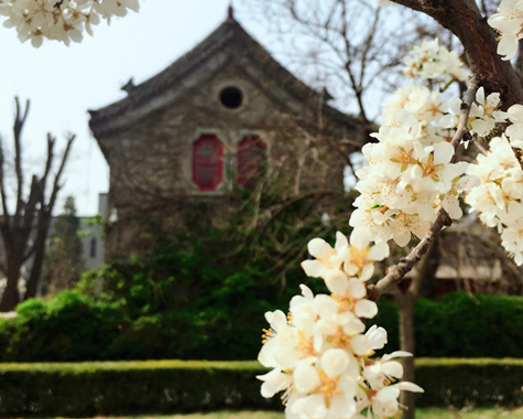 首页-NG视讯厅真人官方网站