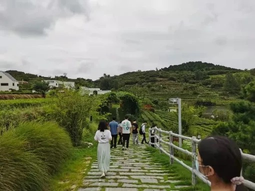 首页-NG视讯厅真人官方网站