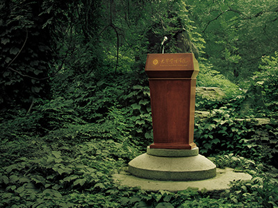 首页-NG视讯厅真人官方网站